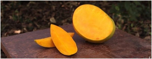 alphonso-mango-1